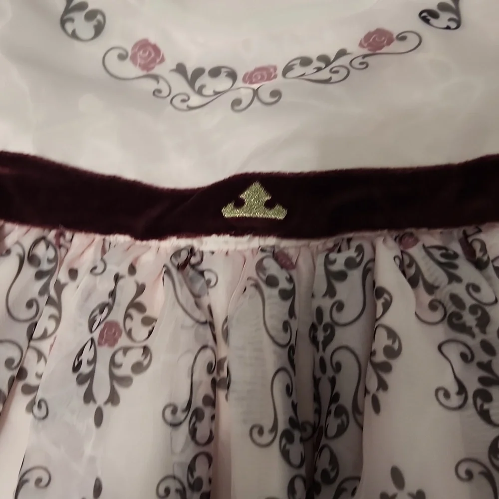 Aurora Sleeping Beauty Inspired Dress ADAPTIVE - Special Needs Siz 6